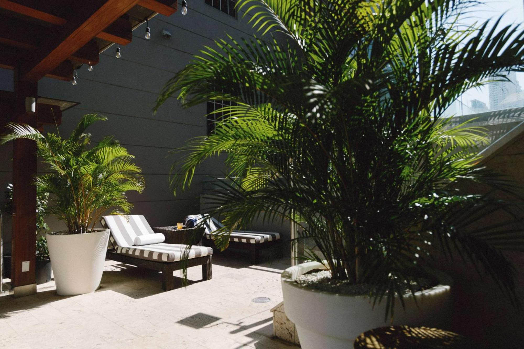 Bristol Panama, A Registry Collection