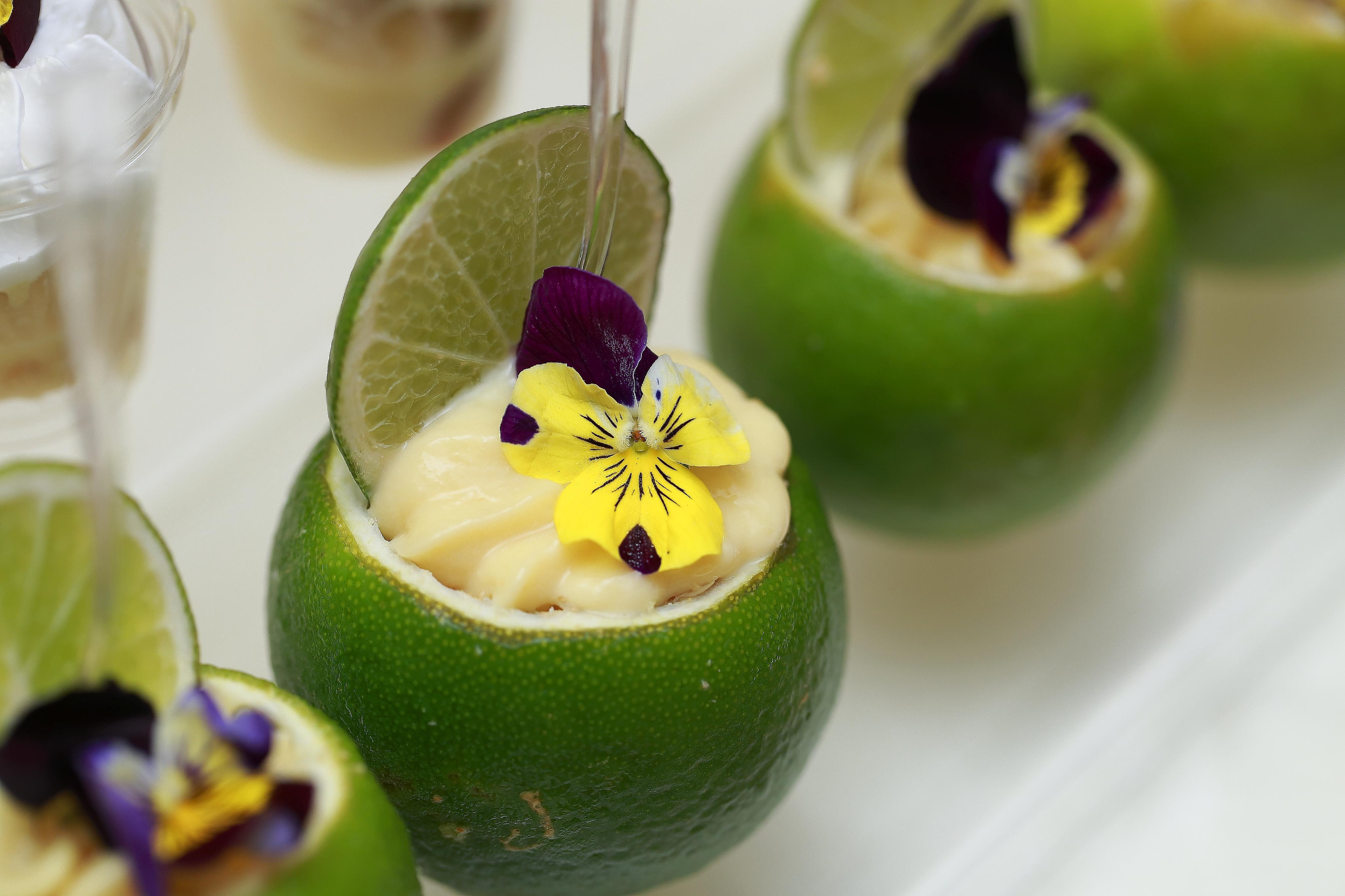 Bristol Panama, A Registry Collection 5*
